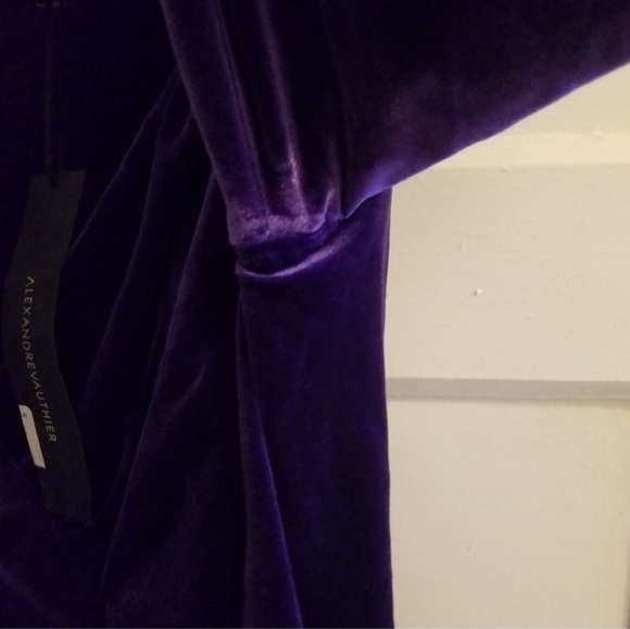 Deep Purple Alexander Vauthier Dress - Picture 8 of 11